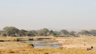 Epic Battles, Wildlife documentary in urdu