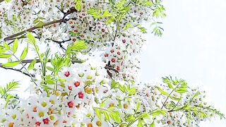 Bewtyfull.. Flower
