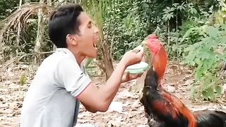 Comedy video