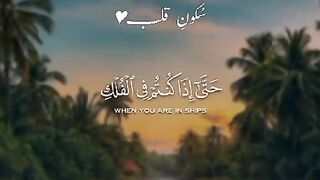 سکون قلب