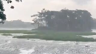 Nature is beautiful
