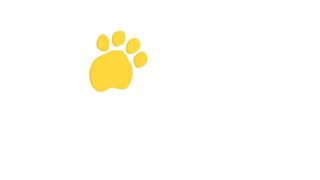 GORILLA - - Animals For Kids