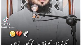 islami tatus qadri lovers