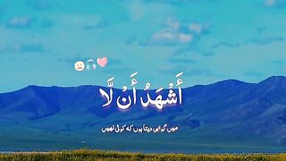 Tilawat e Quran ????????????