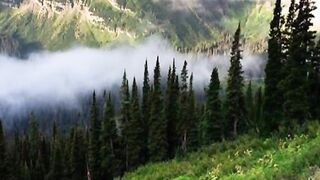 Captivating Scenes of Glacier National Park: Discover Nature's Majesty