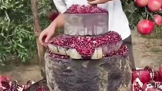Delicious fruits