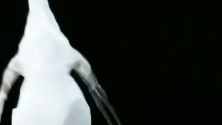 Funny video a hen is dancing