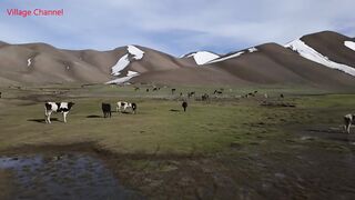 Shepherd Mother Cooking Shepherd food in the nature | Village life in Afghanistan