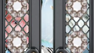 Best video in amazing baby video