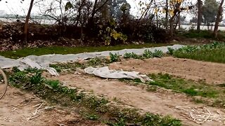 Village site