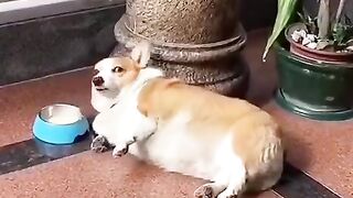 If Laziness Had A face