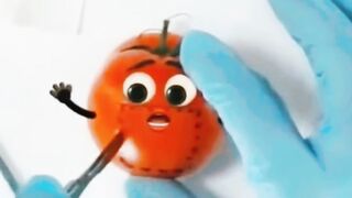 Tomatoes operates successful| Funny video
