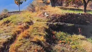Sun#mountains trees# leafs and adventure places