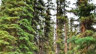 Video song