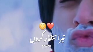 Beeghi beeghi sarkhkoon pH tera intezar kron song