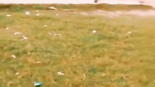 Playing cricket