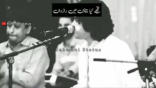 Teri ek nigha ki baat hai -- anis sab rti ghazal status