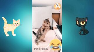 Funniest Animals 2023 | Funniest Cats and Dogs| Part 3