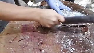 Food cutting skill