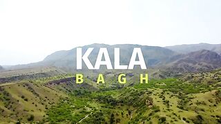 Teetar fight Black Francolin Fight Kala Teetar Ki Awaz Kala Teetar Voice