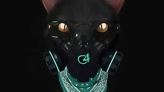 Gato de Noche.