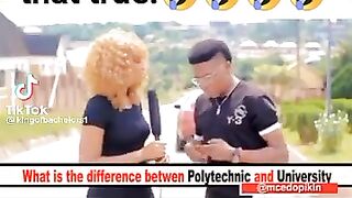 University vs polytechnic