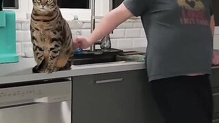 Person playfully prank