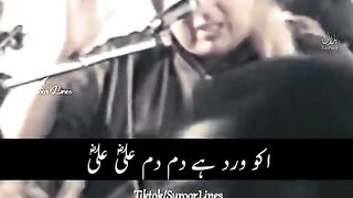 Ali ali