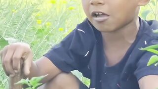vairal funny video pat 6