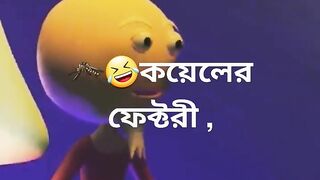 Funny video