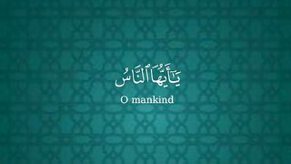 ????❣️✨ Quran surah