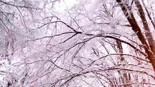 Winter ☃️ Drive safe travels | Subscribe |