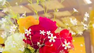Beautiful Followr