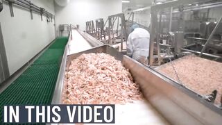 CANNED SEAFOOD Making Process from Crab, Tuna, Oyster, Prawn in Factory - Seafoo.