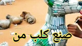 صنع كلب من قارورات