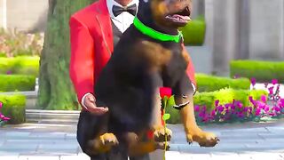GTA v on dog videoplayback.