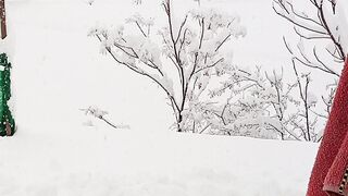 Snowfall 2