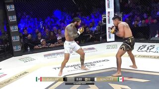 Les meilleurs k.o mma