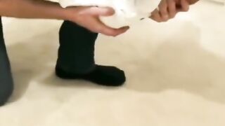 Cute dogs