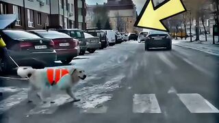 Helping Others
