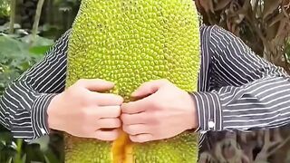 Respect Video  #2024 #funny #shortsmusic video #short #shortvideo #respect #viraltiktok #reels #viral #usa #eu