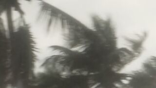 Cyclone