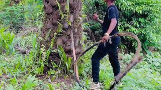 Bush man