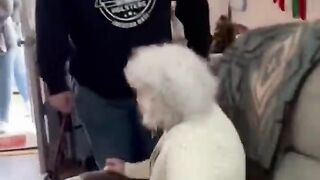 "Heartwarming Reunion: Grandma Breaks Down in Tears Meeting Her Great-Granddaughter for the First Time ❤️❤️"