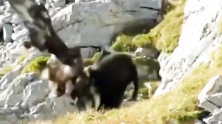 The clumsy fights in the front and gets killed, the strong stays behind the scenes