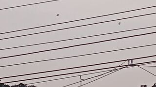 This kite