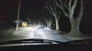 Night Trip mudumalai