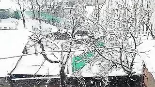 Snow fall weather❣