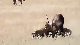 Brave mother