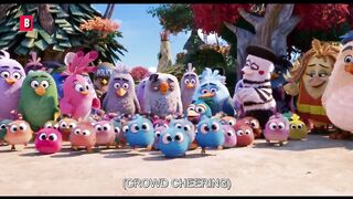 The Angry Birds cutest moments ???? 4K